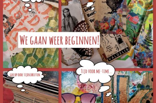 workshops 2025 beginnen!