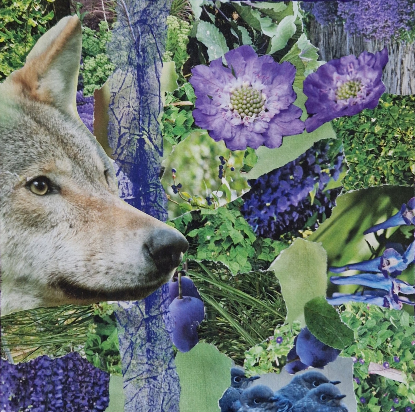 Hennie Holkamp | Snuffelworkshop 2025 11 21